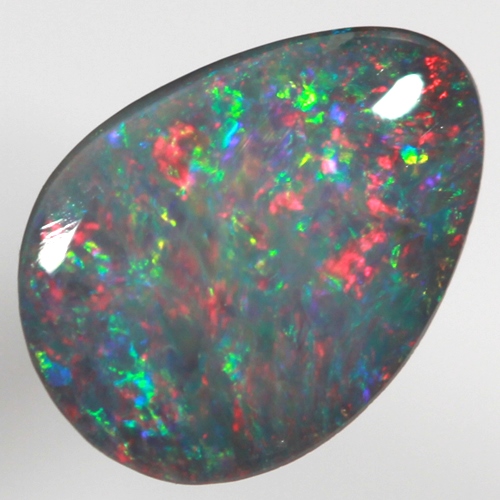 SOLID BLACK OPAL Red multicolour, Floral Harlequin pattern